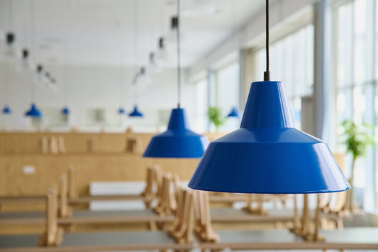 A School Rooted in Its Surroundings